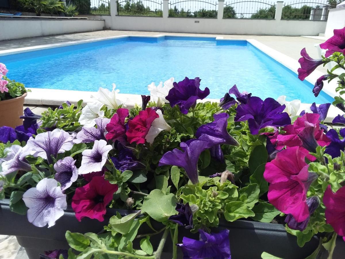 House Apartments Ariamare Poreč Dış mekan fotoğraf