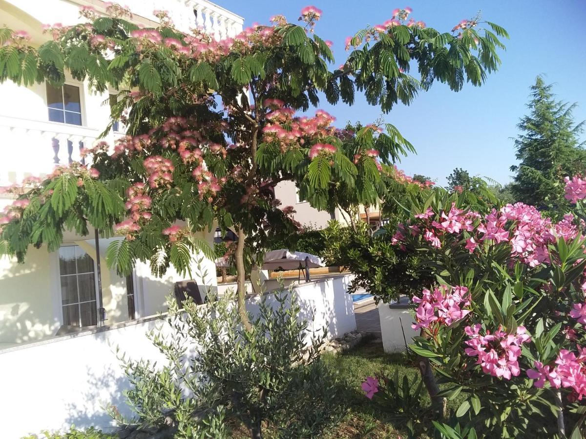 House Apartments Ariamare Poreč Dış mekan fotoğraf