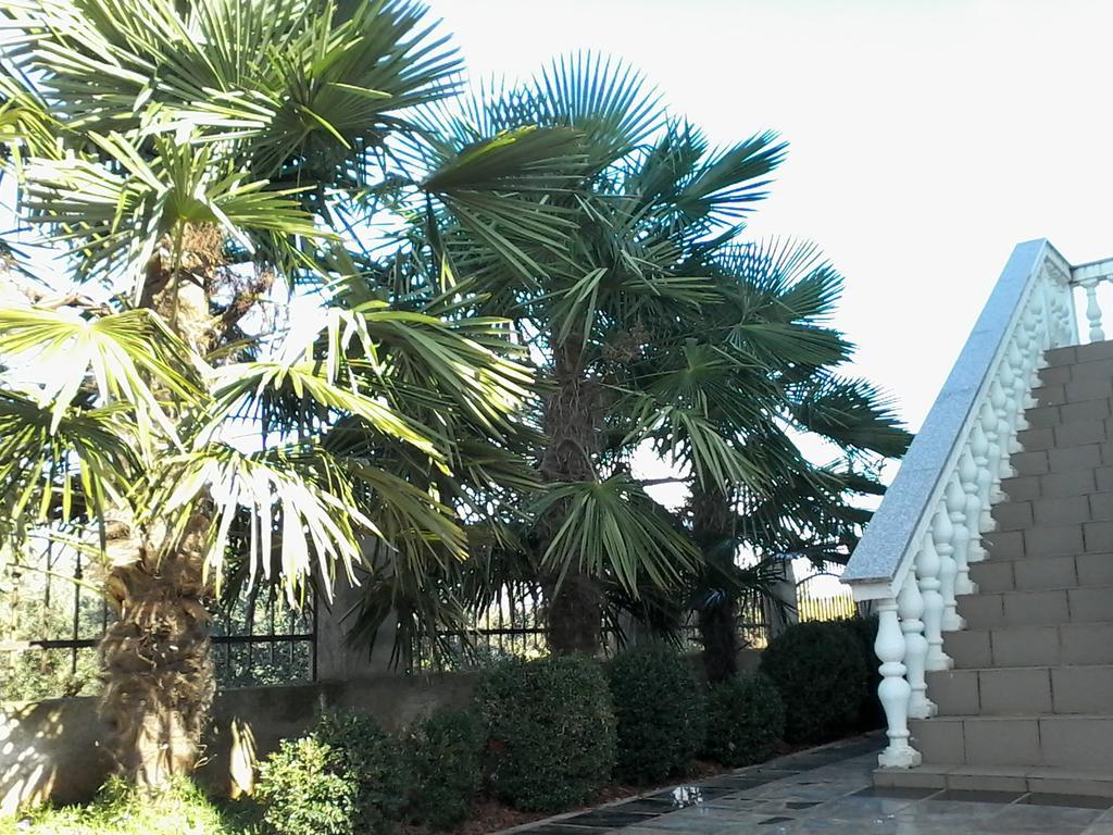 House Apartments Ariamare Poreč Dış mekan fotoğraf