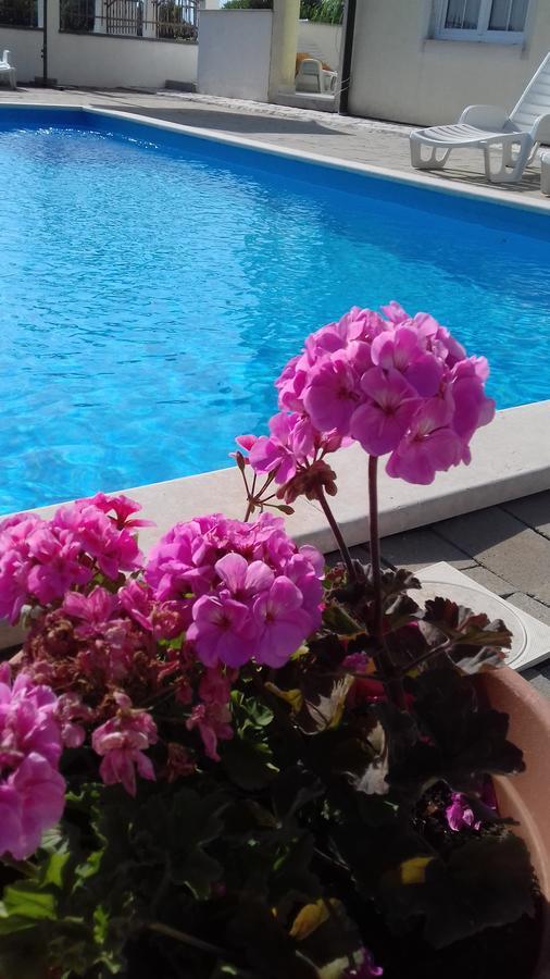 House Apartments Ariamare Poreč Dış mekan fotoğraf